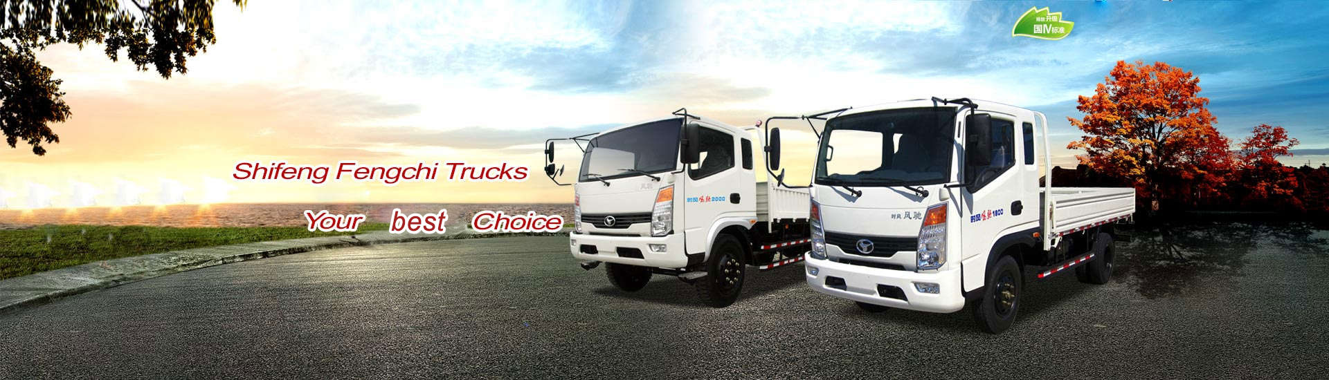 SHIFENG HELP YOU TO SUCCEED!